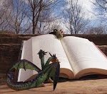 dracs-llegint