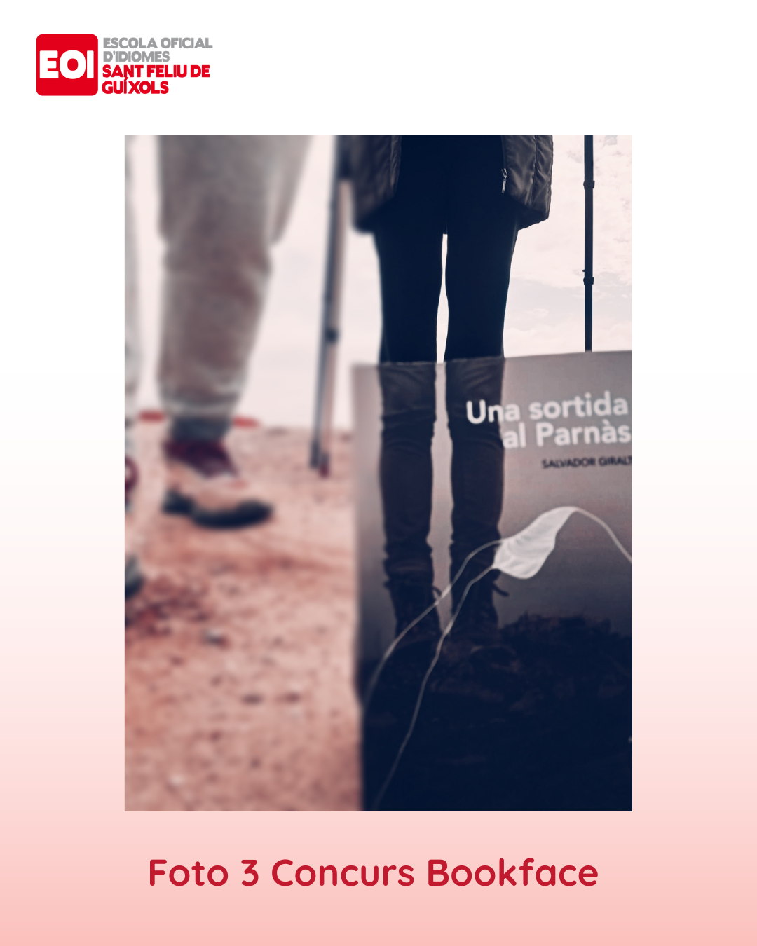 Concurs Bookface